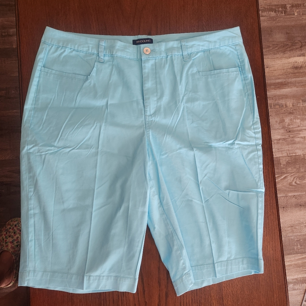 Lot of 3 Belk shorts NWT Rafaella, gently worn Kim Rogers and Bandolino 18W - Picture 6 of 16